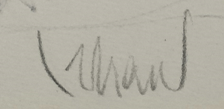 Orhan PEKER signature