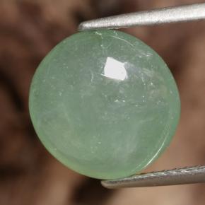 jadeite