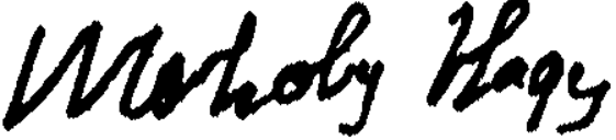 Signature László Moholy-Nagy